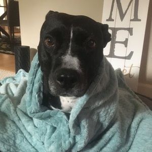 Meet your Posher, Rezyn